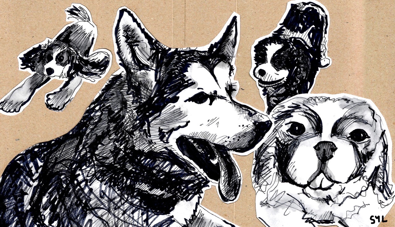 Gabby's Dogs