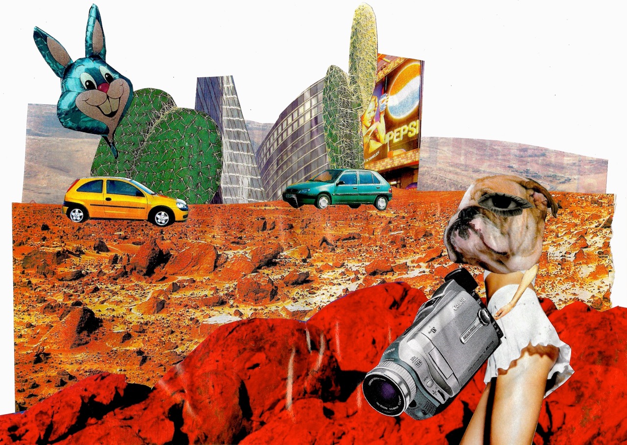 Vlogging Dog Girl in the Desert